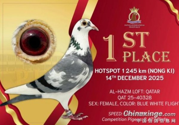 说芭提雅67名：国外赛的价值 不啻排行